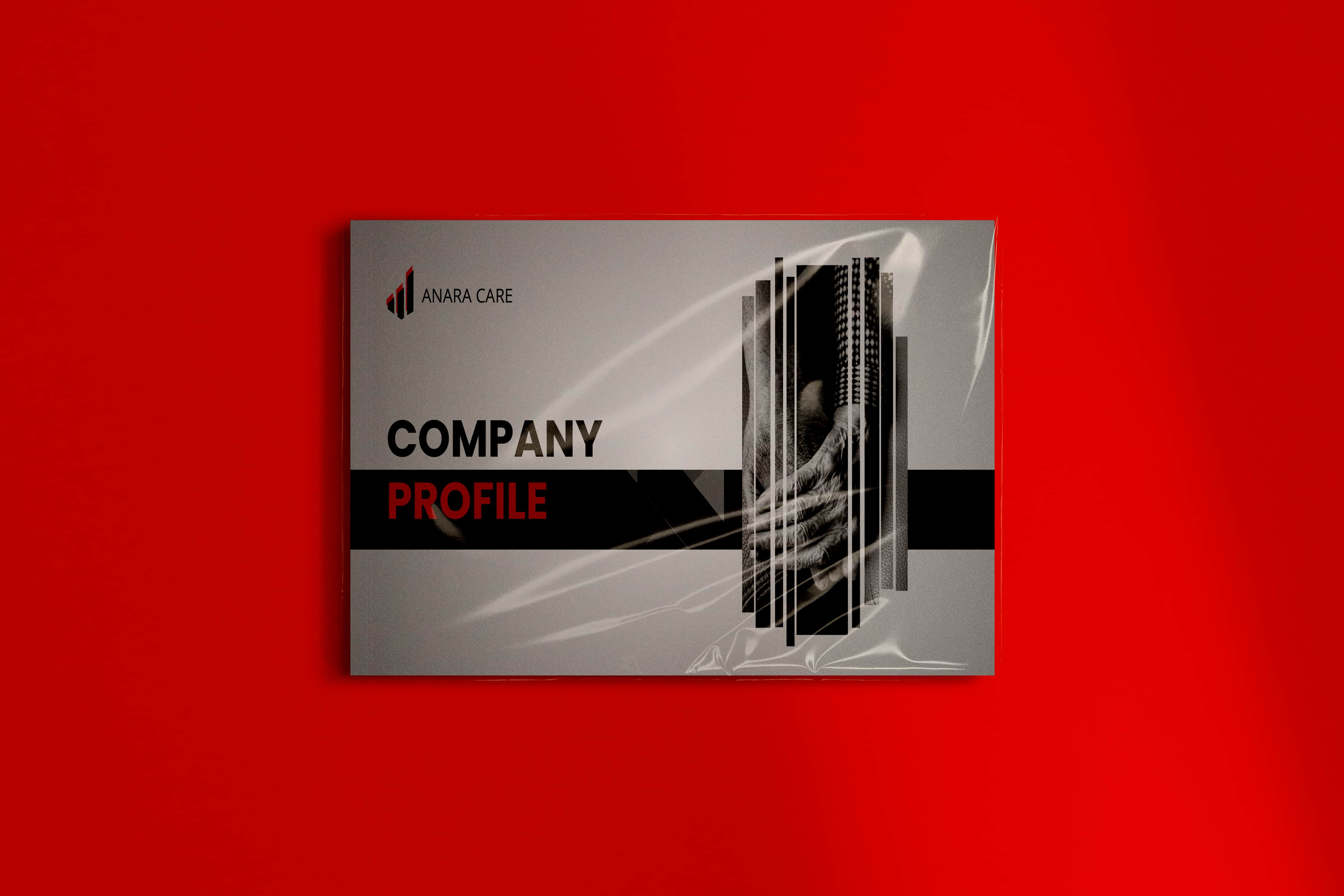 Corporate Company Profile